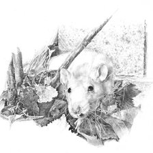 Схема вышивки «серия в черно-белом. крыска»