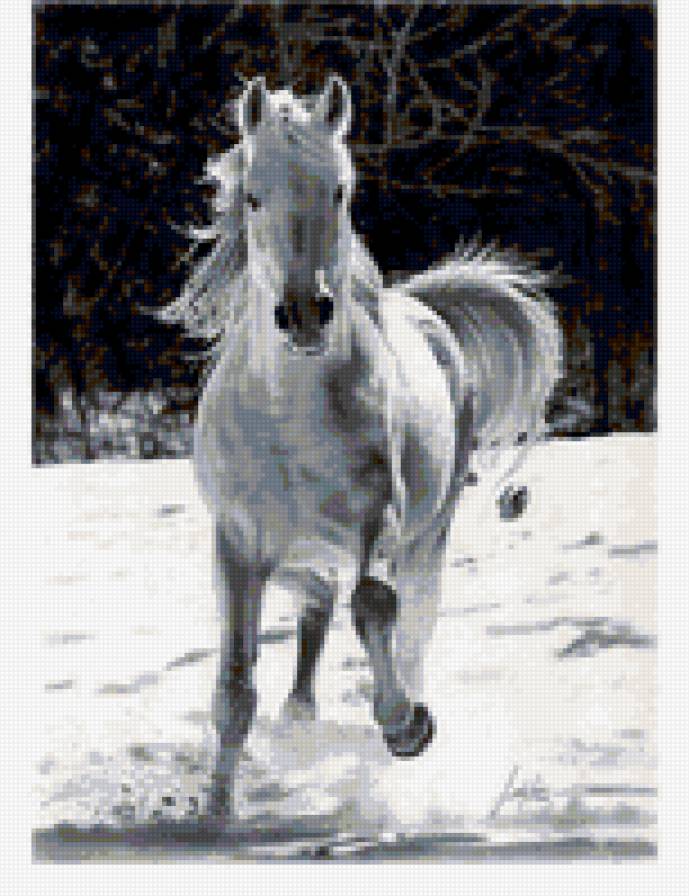 серия в черно-белом. лошадь - природа.зима.животные. лошадь - предпросмотр