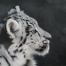 Схема вышивки «серия в черно-белом. барс»