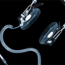 Схема вышивки «рентген 3»