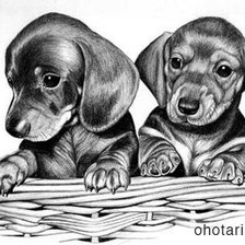 Схема вышивки «серия в черно-белом. таксята»