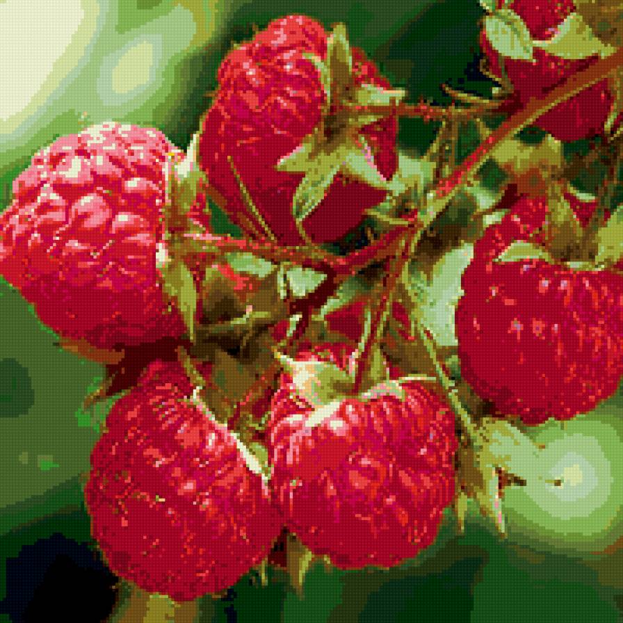 серия лето. малина - природа. ягоды. малина - предпросмотр