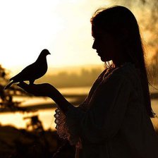 Схема вышивки «голубь символ мира»