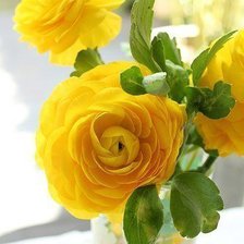 Схема вышивки «жёлтый»