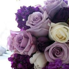 Схема вышивки «сиреневый»