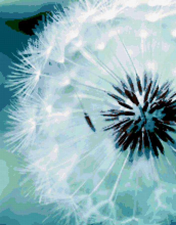 одуванчик - одуванчик, цветок - предпросмотр