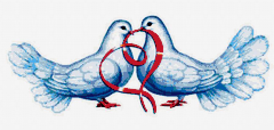 Голуби - предпросмотр