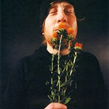 Схема вышивки «Боб Брайар»