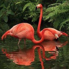 Схема вышивки «№344855»