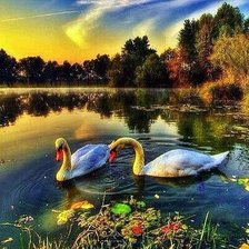 Схема вышивки «№344858»