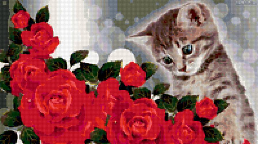 киса с розами - предпросмотр