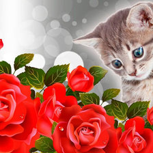 Схема вышивки «киса с розами»