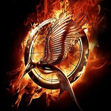 Схема вышивки «сойка»