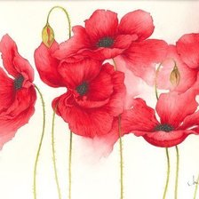 Схема вышивки «poppies»