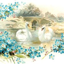 Схема вышивки «Лебеди»