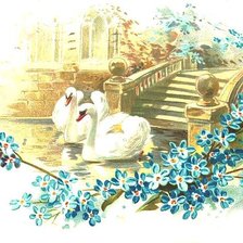 Схема вышивки «Лебеди»