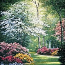 Схема вышивки «№345059»