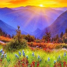 Схема вышивки «№345072»