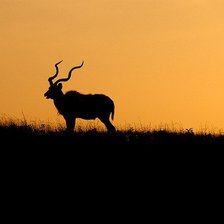 Схема вышивки «ЗАКАТ»