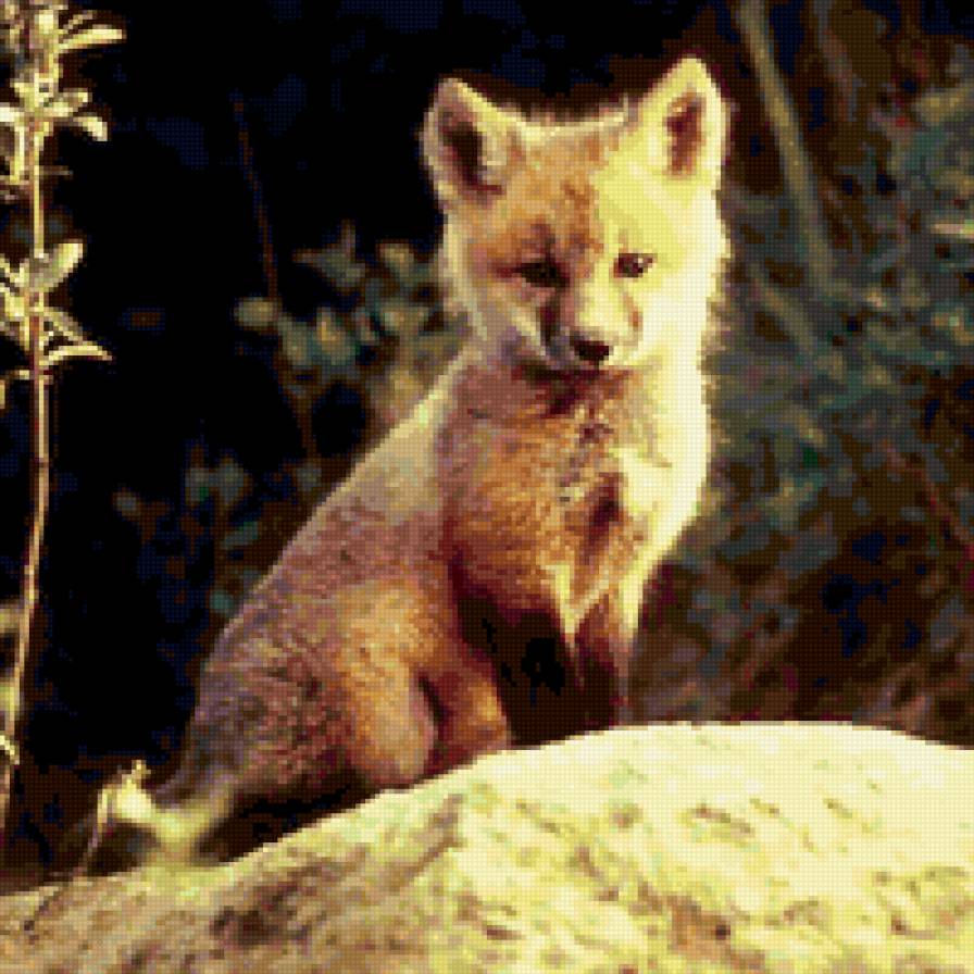 ЗВЕРЬ - животное - предпросмотр