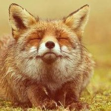 Схема вышивки «КТО ЭТО?»