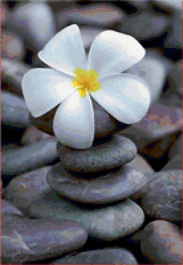 ЛОТОС - лотос, камень - предпросмотр