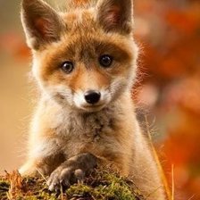 Схема вышивки «А ЭТО,  КТО?»