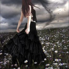 Схема вышивки «На свободе»