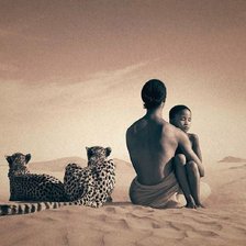 Схема вышивки «африка»