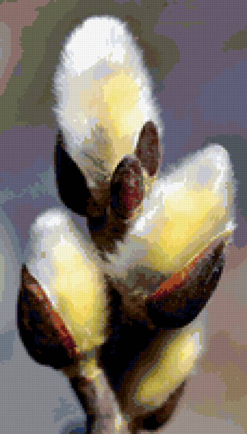 ВЕРБА - верба - предпросмотр