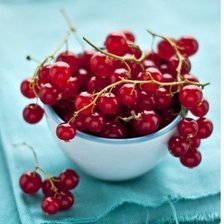 КРАСНАЯ СМОРОДИНА