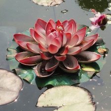 Схема вышивки «ЛОТОС 2»