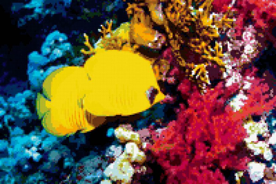 ДНО МОРСКОЕ - предпросмотр