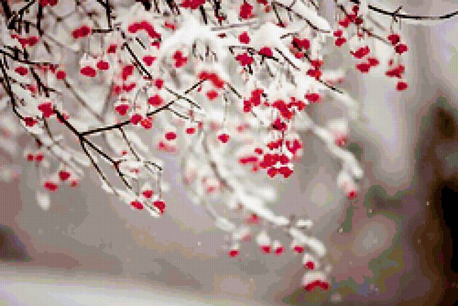 РЯБИНА В СНЕГУ - предпросмотр