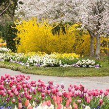 Схема вышивки «В ПАРКЕ»