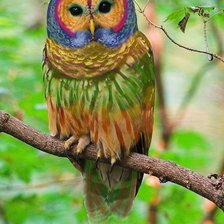 Схема вышивки «СКАЗОЧНАЯ СОВА»