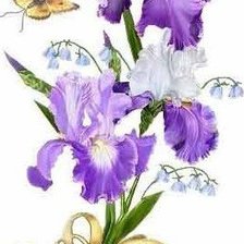 Схема вышивки «букет ирисов»