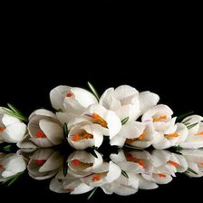 Схема вышивки «цветы»