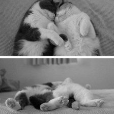 Схема вышивки «влюблённые»