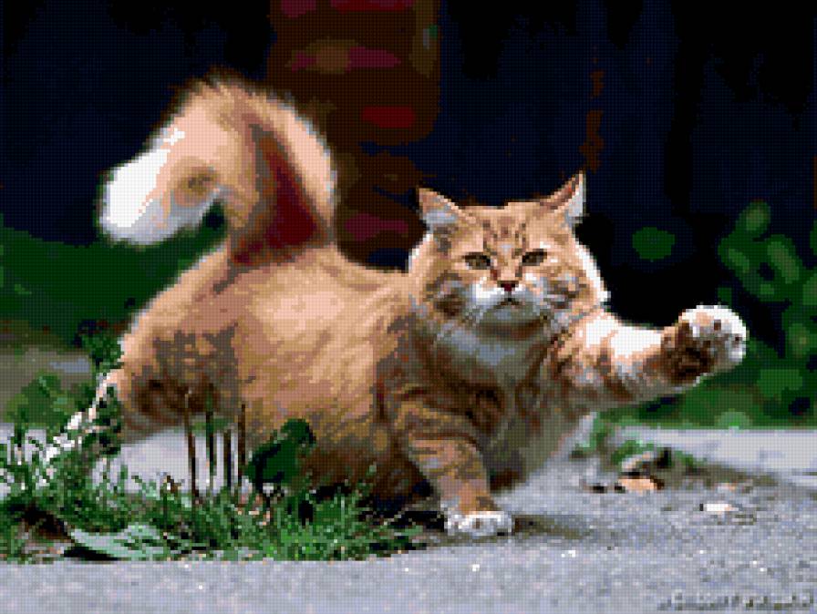 потягушки - кот, рыжий - предпросмотр