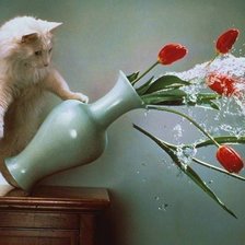 Схема вышивки «№345891»