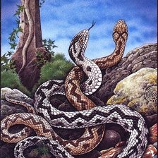 Схема вышивки «№345957»