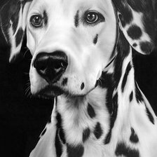 Схема вышивки «№346039»