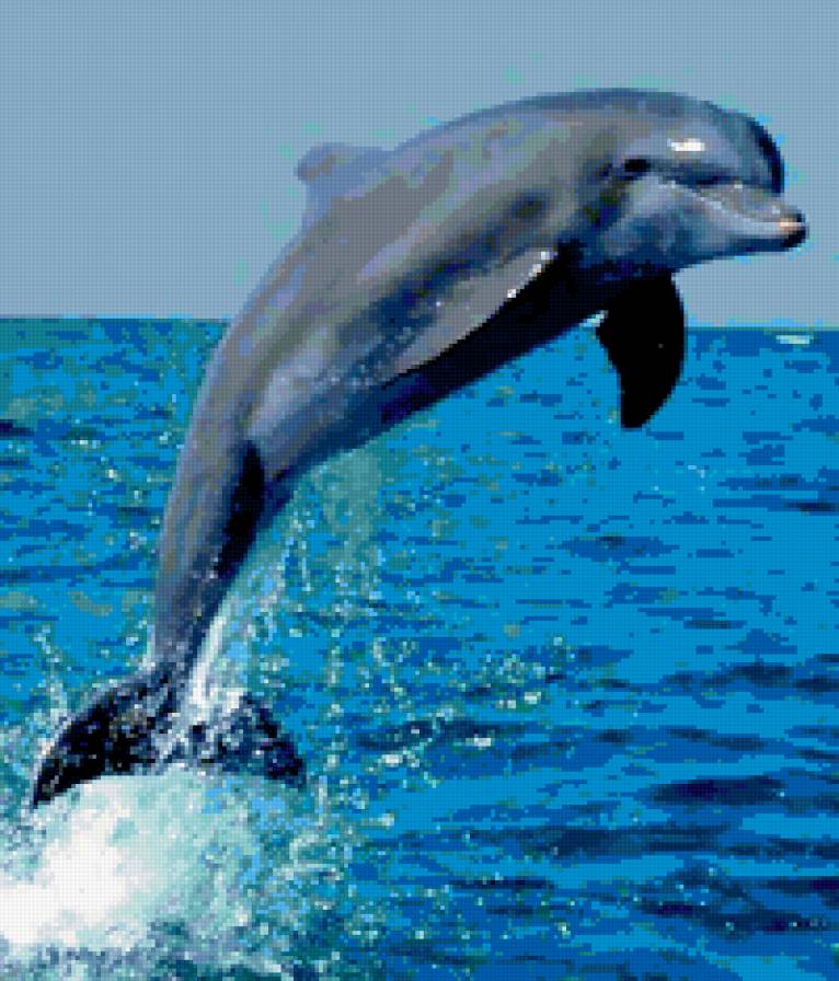 №346101 - предпросмотр