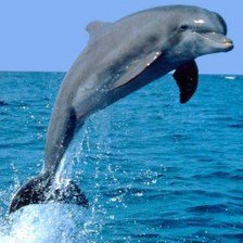 Схема вышивки «№346101»