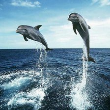 Схема вышивки «№346105»