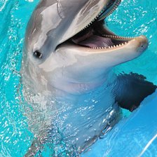 Схема вышивки «№346112»