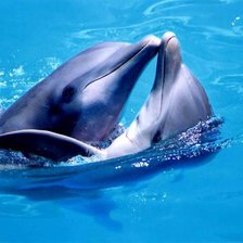 Схема вышивки «№346116»