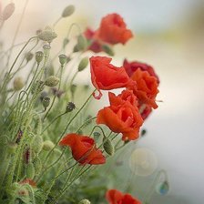 Схема вышивки «№346120»