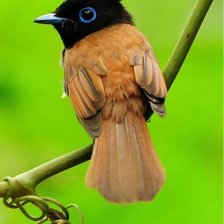 Схема вышивки «№346124»